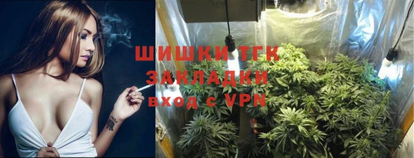 экстази Арсеньев