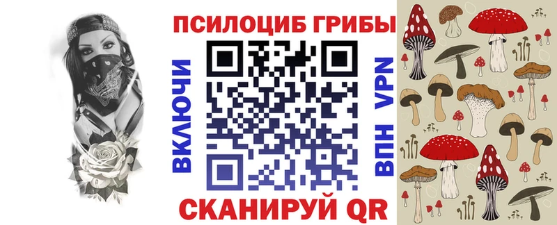 Псилоцибиновые грибы мицелий  купить наркоту  Сясьстрой 